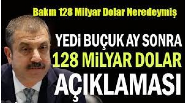 Merkez Bankası'ndan 7,5 Ay Sonra 128 Milyar Dolar Açıklaması