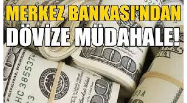 Merkez Bankası'nın dövize müdahalesi yeterli mi?