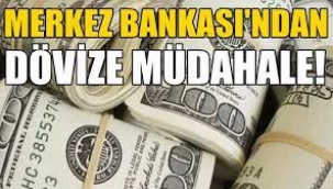 Merkez Bankası'nın dövize müdahalesi yeterli mi?