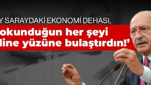 Kılıçdaroğlu: Ey Saraydaki ekonomi dehası, dokunduğun her şeyi eline yüzüne bulaştırdın!
