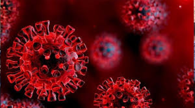 3 Şubat koronavirüs tablosu açıklandı