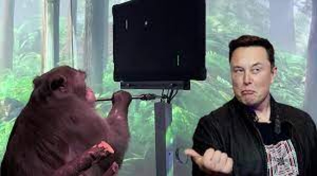 Elon Musk'ın Neuralink projesindeki maymunlar ölmeye başladı