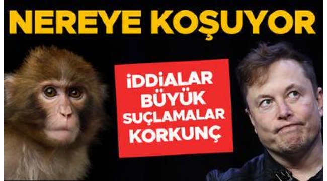 İddiası çok büyük, suçlamalar çok korkunç! Elon Musk Neuralink ile nereye koşuyor?