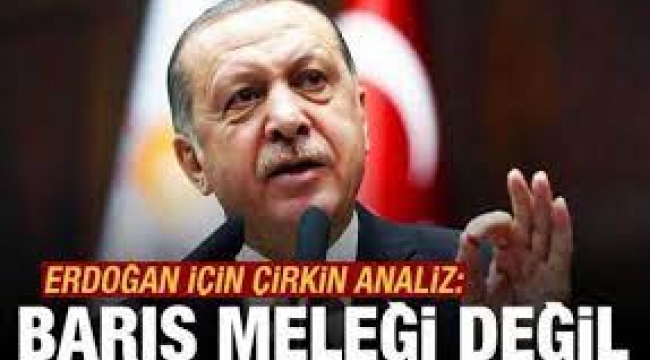 Bild Gazetesi: Erdoğan Kesinlikle bir Barış Meleği Değil