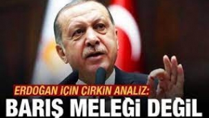 Bild Gazetesi: Erdoğan Kesinlikle bir Barış Meleği Değil