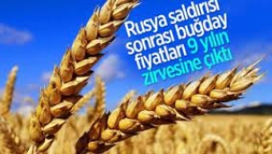 Buğday 14 yılın zirvesinde! Gıda fiyatları tavan yapacak