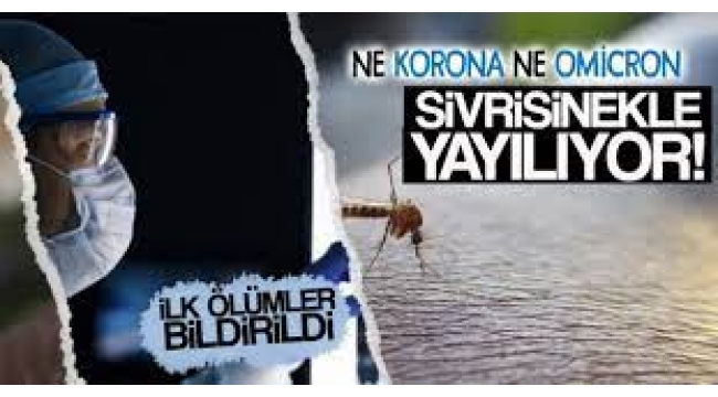 İlk ölümler bildirildi! Japon Ensefalit Virüsü (JEV) alev gibi yayılıyor