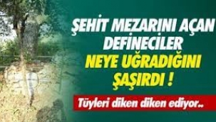 Şehit mezarlarını kazan definecilere ne oldu 