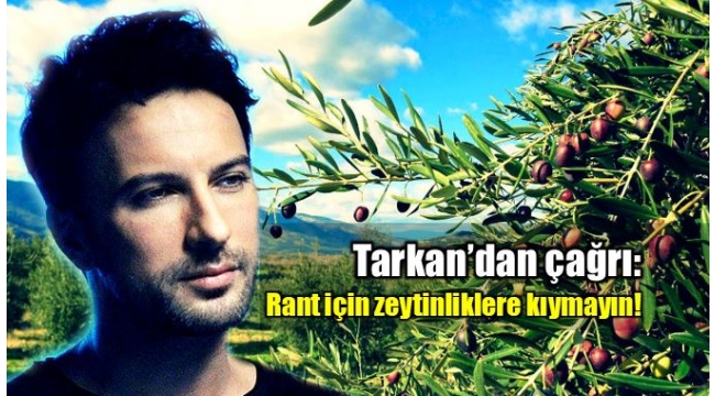 Tarkan Zeytin Ağaçlarının Kesilmesine Sert Tepki Gösterdi