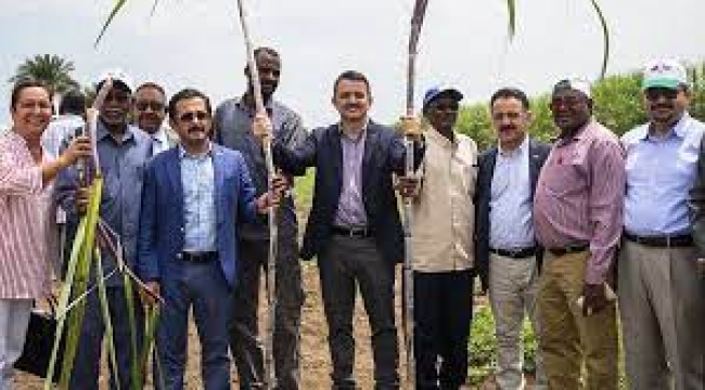 Türkiye'de toprağını sat, Sudan'da toprak kirala!