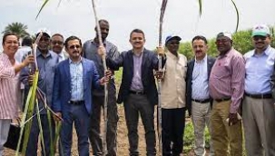 Türkiye'de toprağını sat, Sudan'da toprak kirala!