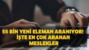 İşte en çok aranılan meslekler