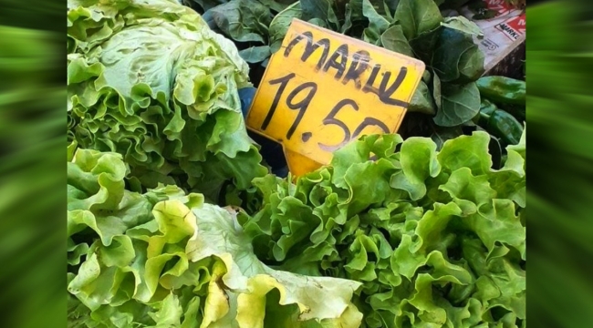 Marul fiyatı 20 lira oldu, sosyal medya ayağa kalktı: Halk artık ot da yiyemeyecek!