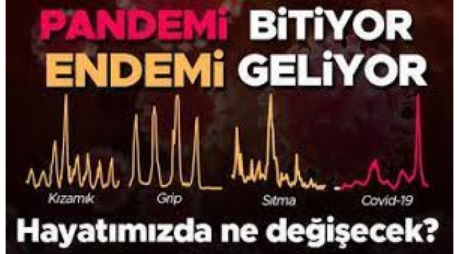 Pandemi gidiyor, endemi geliyor... 