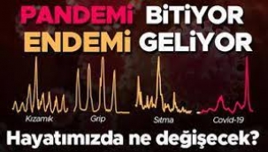 Pandemi gidiyor, endemi geliyor... 