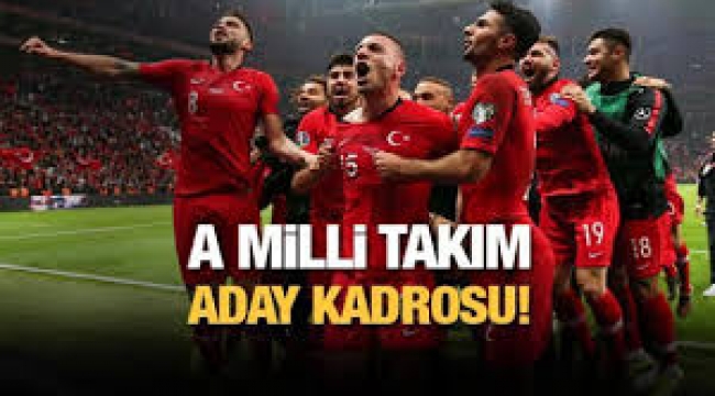 A Milli Takım kadrosu açıklandı!