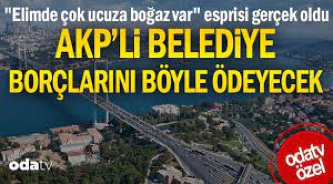"Elimde çok ucuza boğaz var" esprisi gerçek oldu...