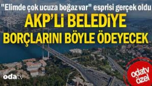 "Elimde çok ucuza boğaz var" esprisi gerçek oldu... 