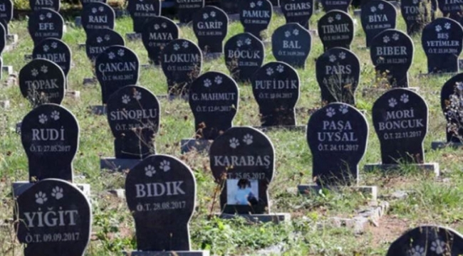 Evcil hayvan mezarlığına bayram ziyareti