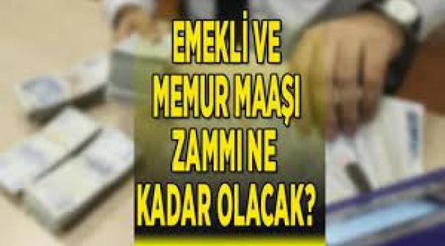 Memur ve Emeklilerin Maaşı Ne Kadar Artacak?