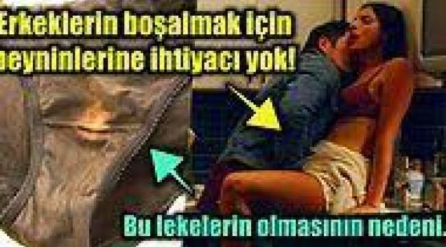 Yeniden Keşfedeceğiniz Birbirinden İlginç 17 Gerçek