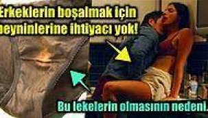 Yeniden Keşfedeceğiniz Birbirinden İlginç 17 Gerçek