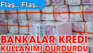 BDDK kararı sonrası bankalar kredi kullanımını durdurdu