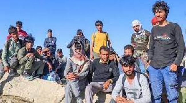 Bir kuryenin gözünden sığınmacılar