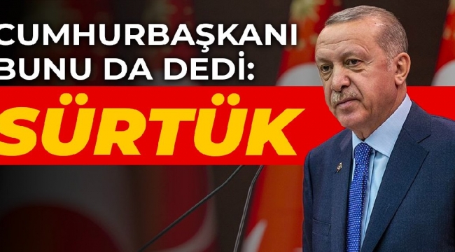 Erdoğan Gezi eylemcilerine bunu da dedi: Sürtük