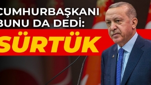 Erdoğan Gezi eylemcilerine bunu da dedi: Sürtük