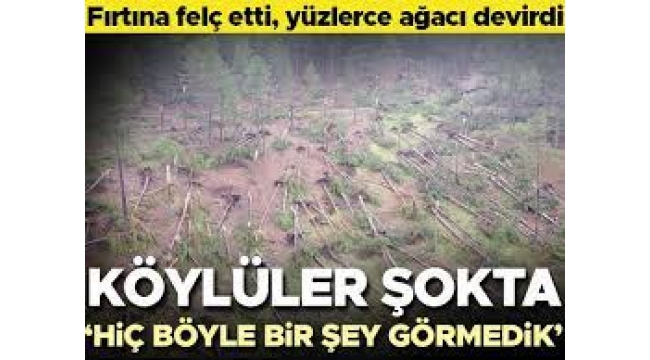  Fırtına nedeniyle yüzlerce ağaç devrildi! Köylüler şokta: