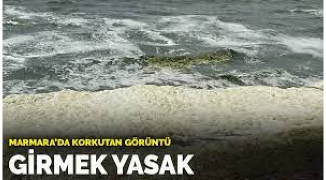 Siyanobakteri alarmı… Yüzmek yasaklandı