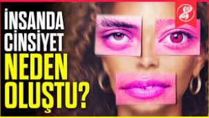 Cinsiyetlerin Evrimi: Neden Sadece 2 Baskın Cinsiyet Var?