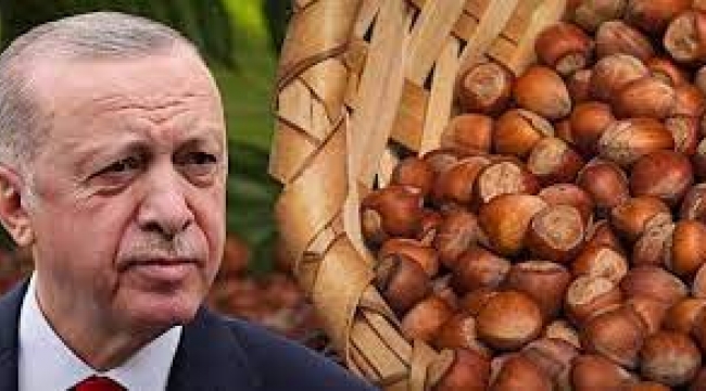 Erdoğan Ordu'da fındık alım fiyatını açıkladı