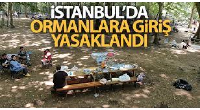 İstanbul Valiliği'nden ormanlara giriş yasağı