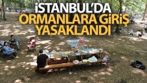 İstanbul Valiliği'nden ormanlara giriş yasağı