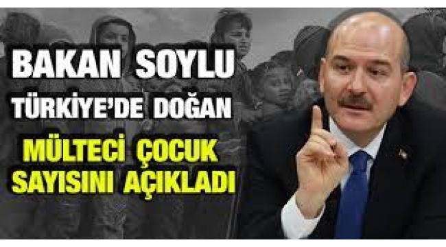 Süleyman Soylu, Türkiye'de doğan Suriyeli sayısını açıkladı
