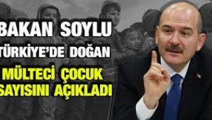 Süleyman Soylu, Türkiye'de doğan Suriyeli sayısını açıkladı