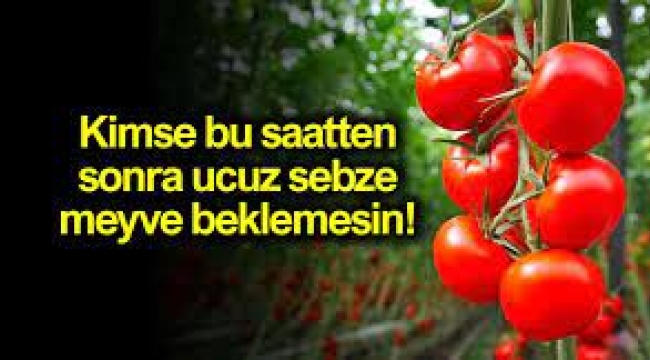 Yok artık dedirtecek domates fiyatı tahmini!