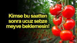 Yok artık dedirtecek domates fiyatı tahmini!