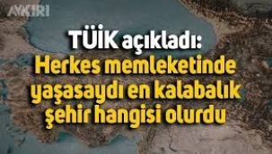 Herkes memleketinde yaşasaydı Türkiye'nin en kalabalık ili 