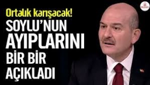 Ortalık karışacak! Soylu'nun ayıplarını bir bir açıkladı