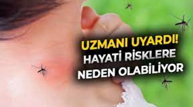 Uzmanı uyardı: Sivrisinek ısırığı sonrası görülen ateşe dikkat