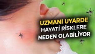 Uzmanı uyardı: Sivrisinek ısırığı sonrası görülen ateşe dikkat