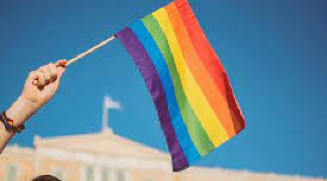 Barış Pehlivan: AKP ve MHP'de LGBT videosu endişesi