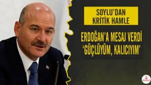 Süleyman Soylu Görevden Alınacağını Öğrendi, Erdoğan'a Mesaj Yolladı