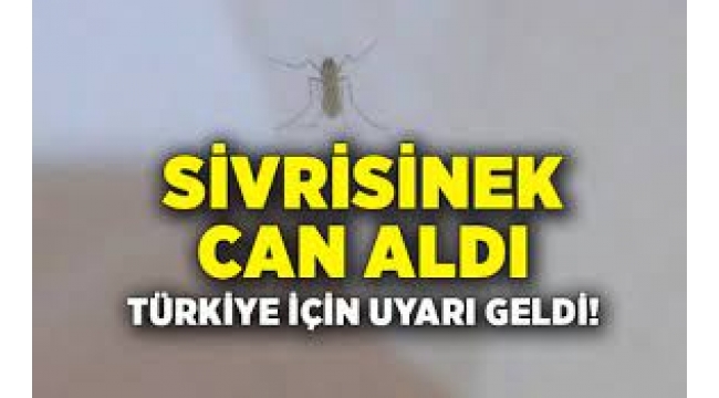 Türkiye için sivrisinek uyarısı geldi