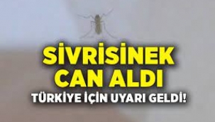 Türkiye için sivrisinek uyarısı geldi