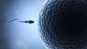 26 yıl önce dondurulmuş sperm ile dünyaya gelen mucize bebek
