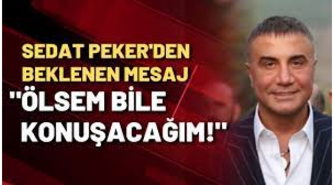 Sedat Peker'in Evden Çıkması Bile Yasak, 